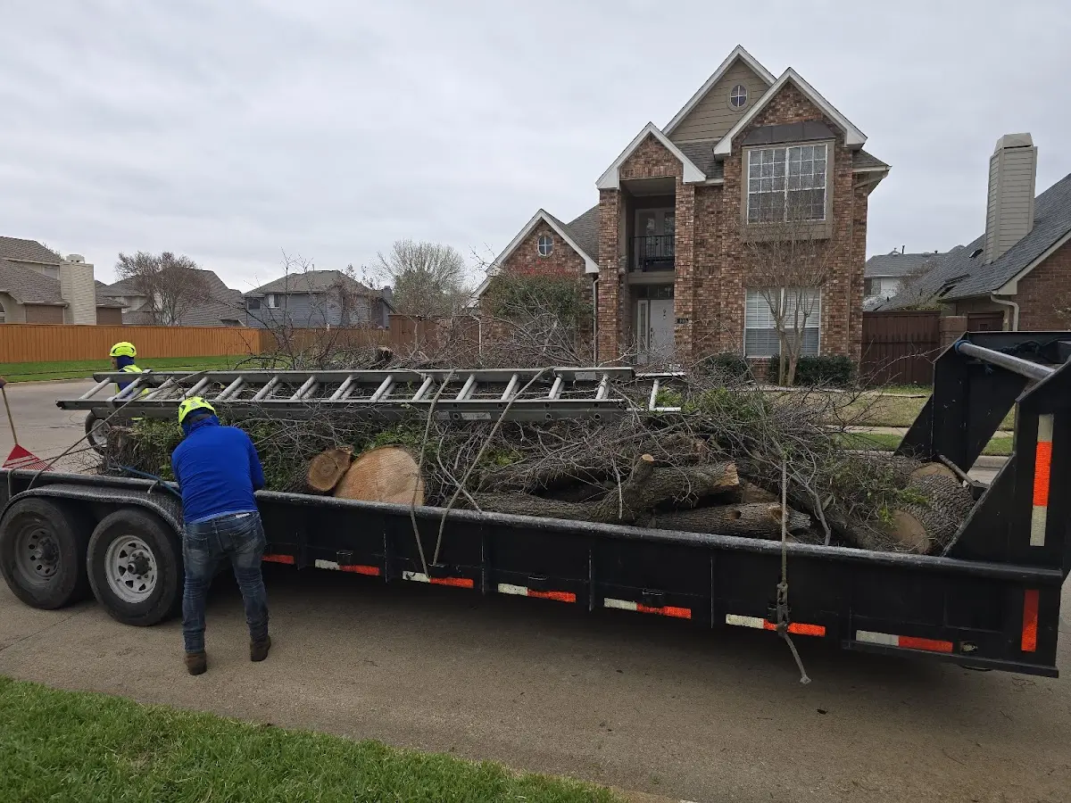 Expert Crown Reduction with proper safety equipment in Garrett Park